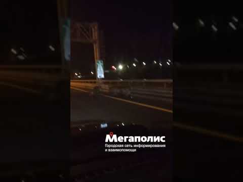 Видео: Наглые свиньи пользуются ЗСД абсолютно бесплатно Видео: Наглые свиньи пользуются ЗСД абсолютно бесплатно