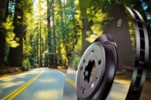 Зеркальные тормоза от brembo