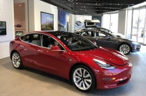 Теслу не остановить? Количество зарегистрированных авто выросло на 63%