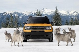 В рекламе Bronco Sport с системой G.O.A.T. снялись реальные goat