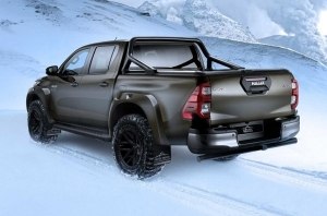 Toyota Hilux заехала на территорию Раптора