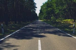 Укравтодор планирует развивать сеть лесных дорог: Отремонтированные дороги на Луганщине помогли пожарным быстрее попадать к местам лесных пожаров