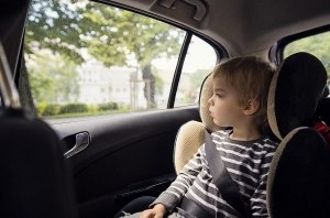 Для «одаренных»: Ford показал, почему оставленный в машине ребенок или собака может обернуться трагедией