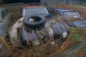 Типичная история: лес, амбар и раритетные авто