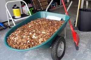 Подали в суд за кучу денег