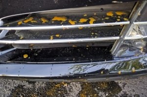 У Tesla ржавеют пластиковые бампера! Чего?
